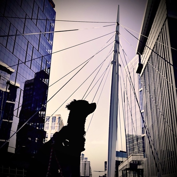 STYLIST.  MOTHER.  CREATIVE. - Picture 6 of 10